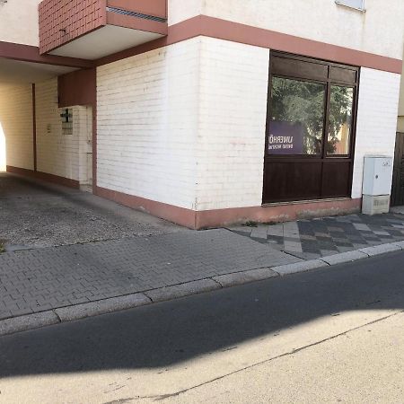 Monteurwohnung Im Zentrum Worms Bagian luar foto